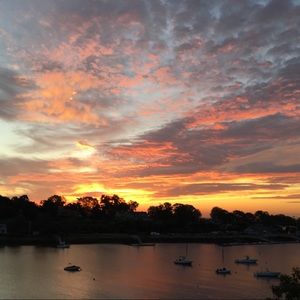 Meet your Posher, Stella